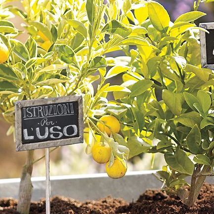 Un giardiniere ti dà qualcosa da pensare da portare a casa oltre alle consuete piante